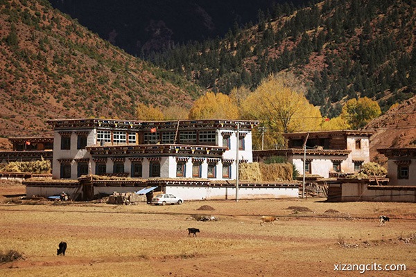 西藏旅游住哪里比較好