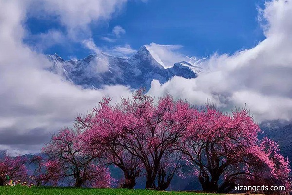 林芝旅游幾月份最佳