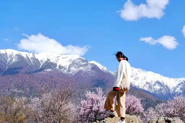 西藏品質(zhì)游麥朵服務(wù)怎么樣