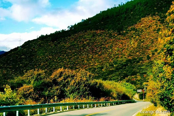 西藏旅游必須去的地方