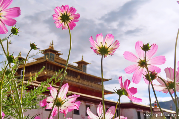 桑耶寺怎么樣